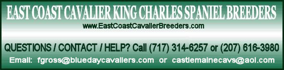 east coast cavalier breeders